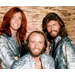 BEE GEES